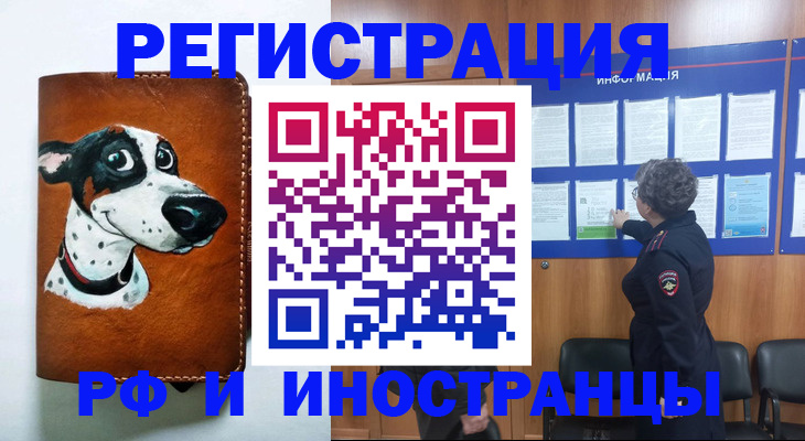 временная регистрация законно в Могочи